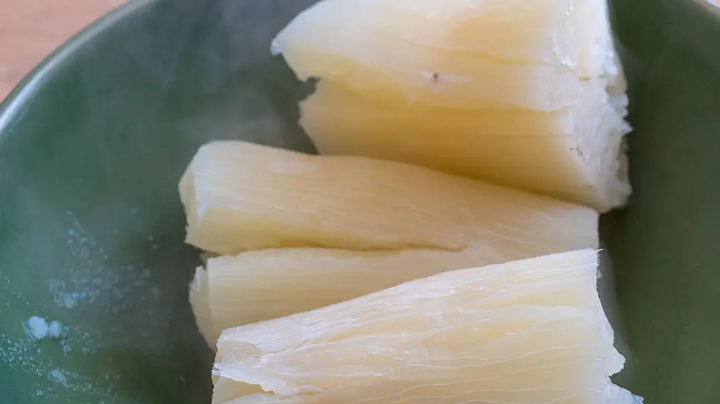 ‘World’s deadliest food‘ kills more than 200 people a year but millions of people still eat it