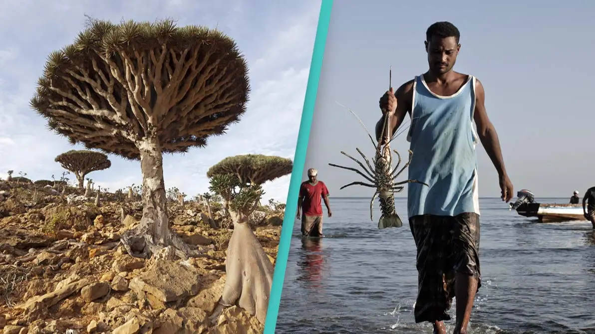 Inside 'most alien-looking place on earth' where most plant and animal life can't be found anywhere else