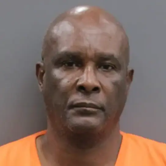 Louis Jules identified himself in the video (Hillsborough County Sheriff's Office)