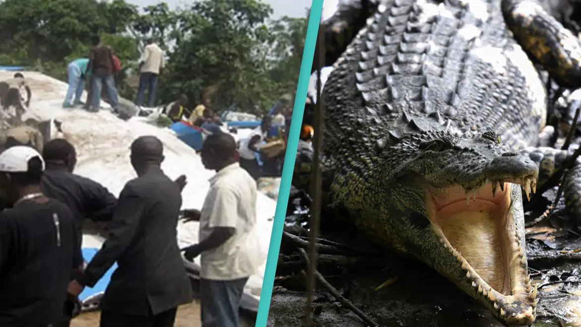 Radio Okapi / Roslan RAHMAN / AFP) (Photo by ROSLAN RAHMAN/AFP via Getty Images