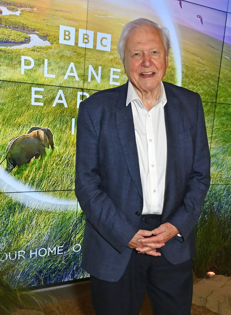Sir David Attenborough, pictured back in 2023, has admitted that his life is coming to an end (Dave Benett/Getty Images)
