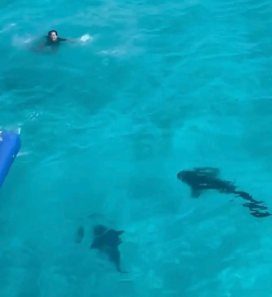 The terrifying video has gone viral.