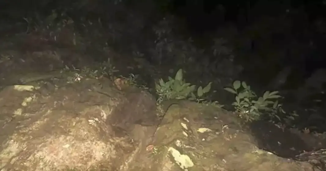 Some of the pictures had been taken at night (YouTube/ TVN2)