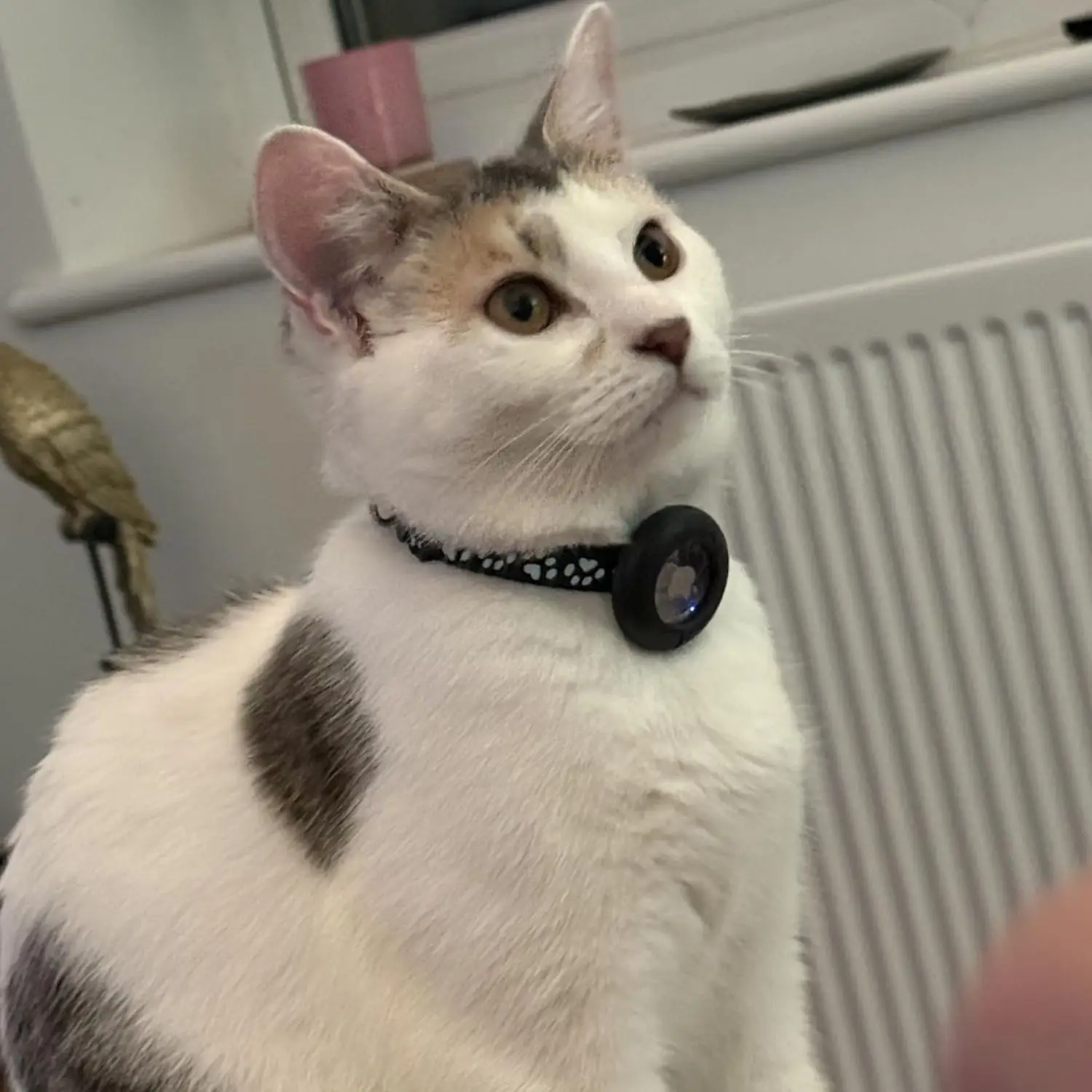 The tiny tracking device is currently on sale via Amazon (Amazon)