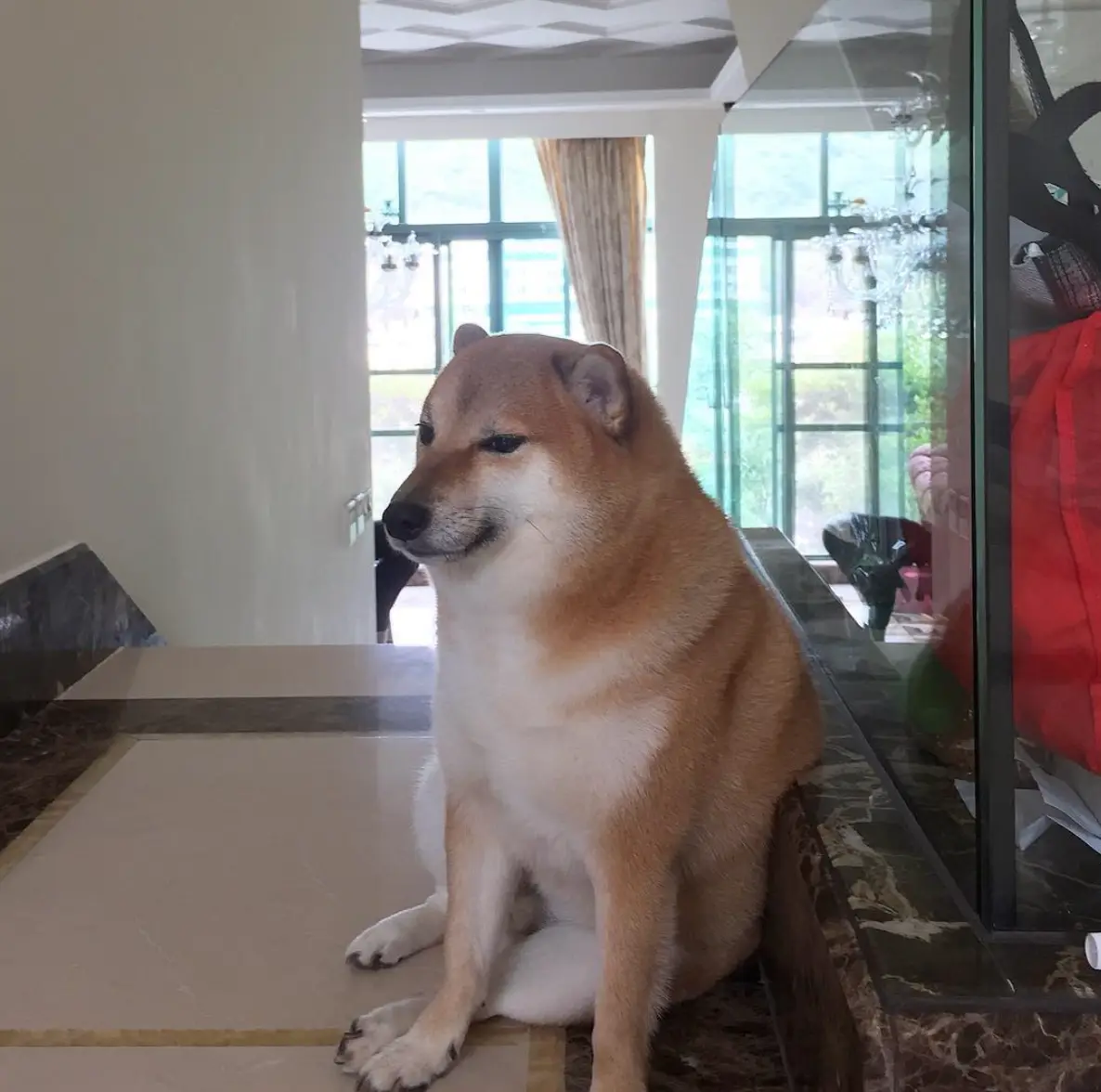 The loveable pooch passed away on Friday.