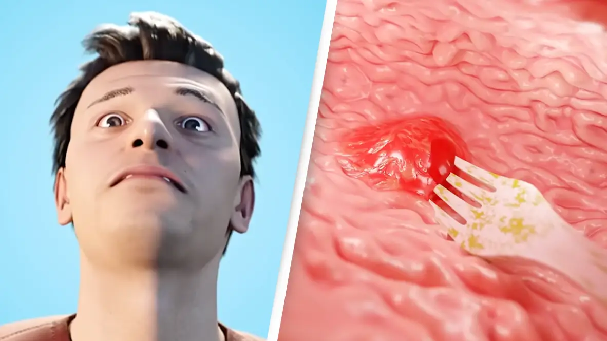 Zack D. Films/YouTube