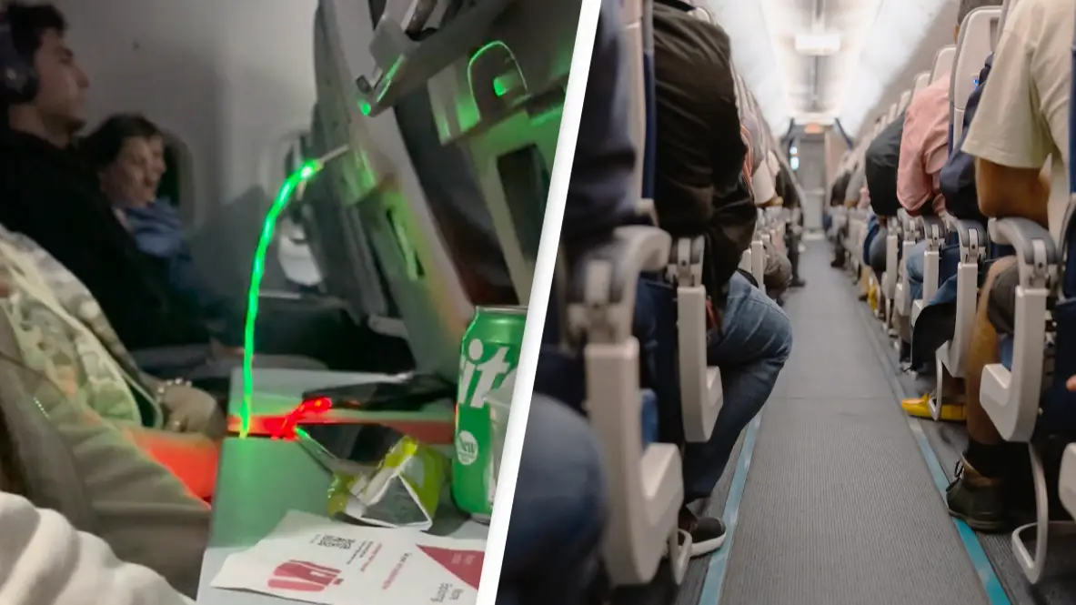 Reddit/ u/tsitsifly22 / Getty Stock Image