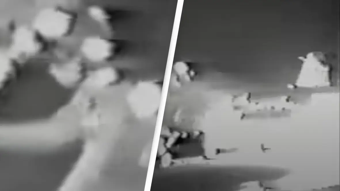 YouTube/Mister_Rooster