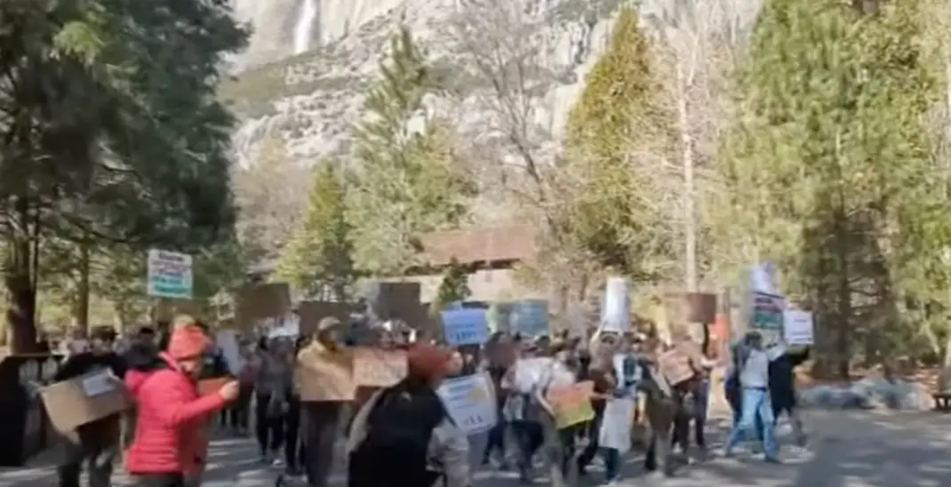 Protests have been held at national parks in response to the job cuts (ABC30 Action News)