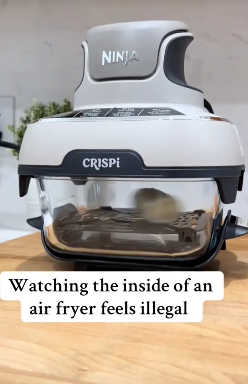 The spring roll was fighting for its life inside the air fryer (@aligroholski/TikTok)