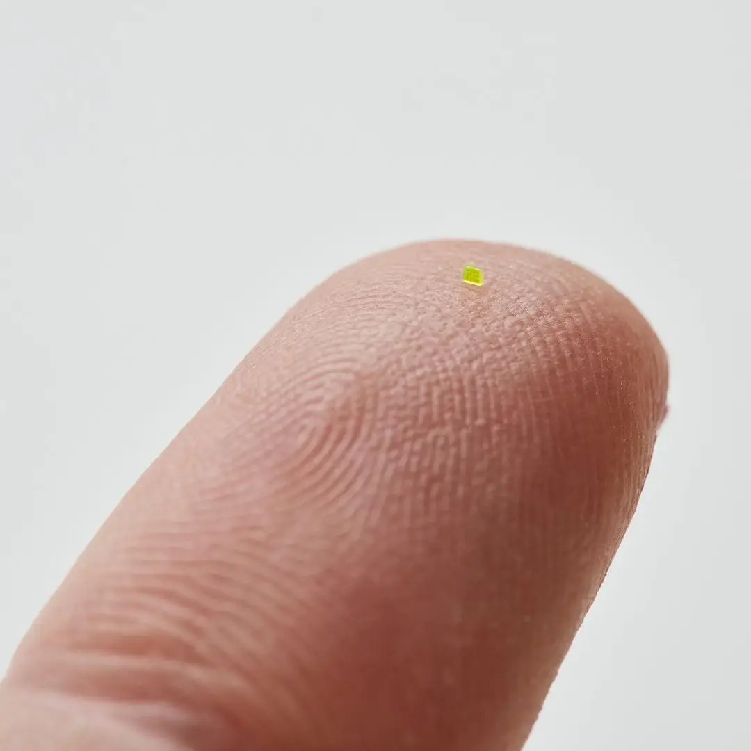 The bag is 'smaller than a grain of salt'.