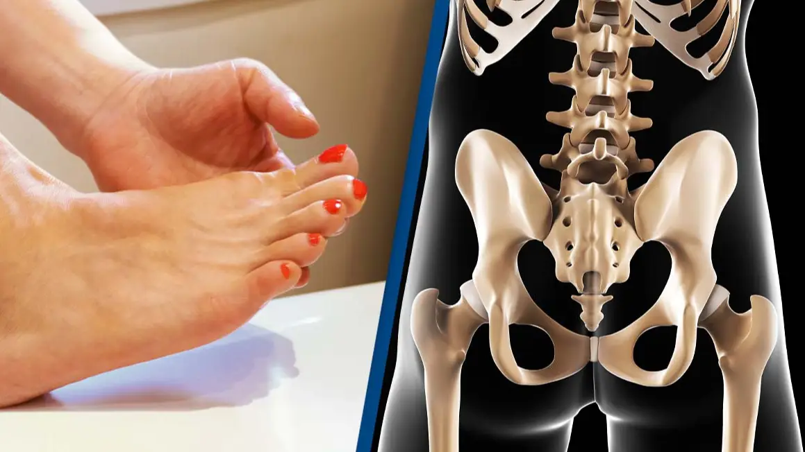 7 parts of the human body have become useless over time that you may not know you have