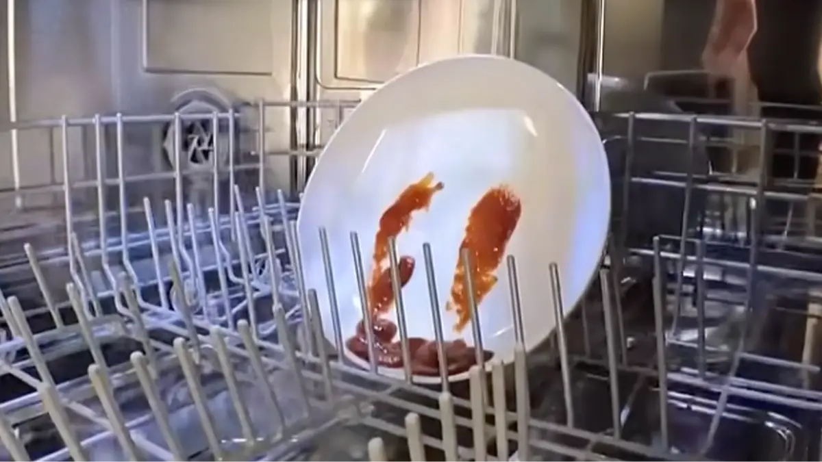 @povsadventures/YouTube