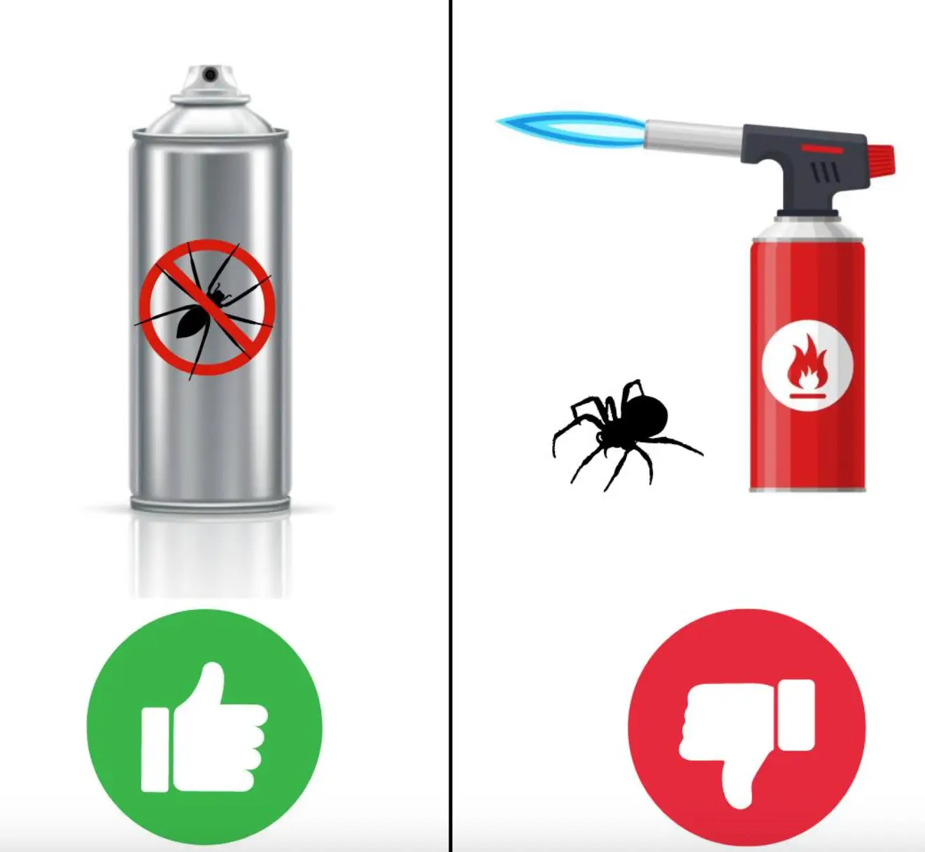 The department gave a clear warning against blow torching spiders. (Facebook/Fresno Fire Department)