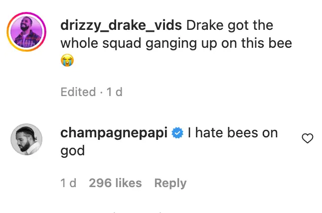 Drake responded to the video to confirm he 'hates' bees.