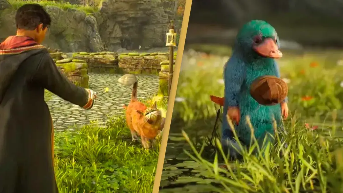 Hogwarts Legacy players are trying to become animagi