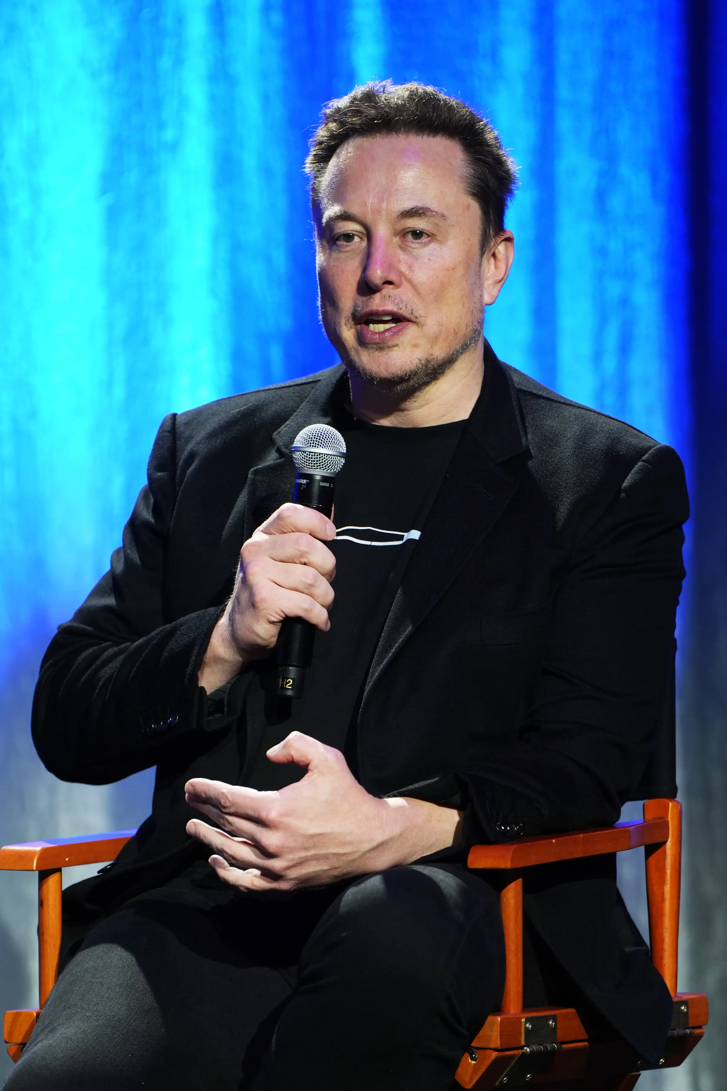 Elon Musk has been sued (Jared Siskin/Patrick McMullan via Getty Images)