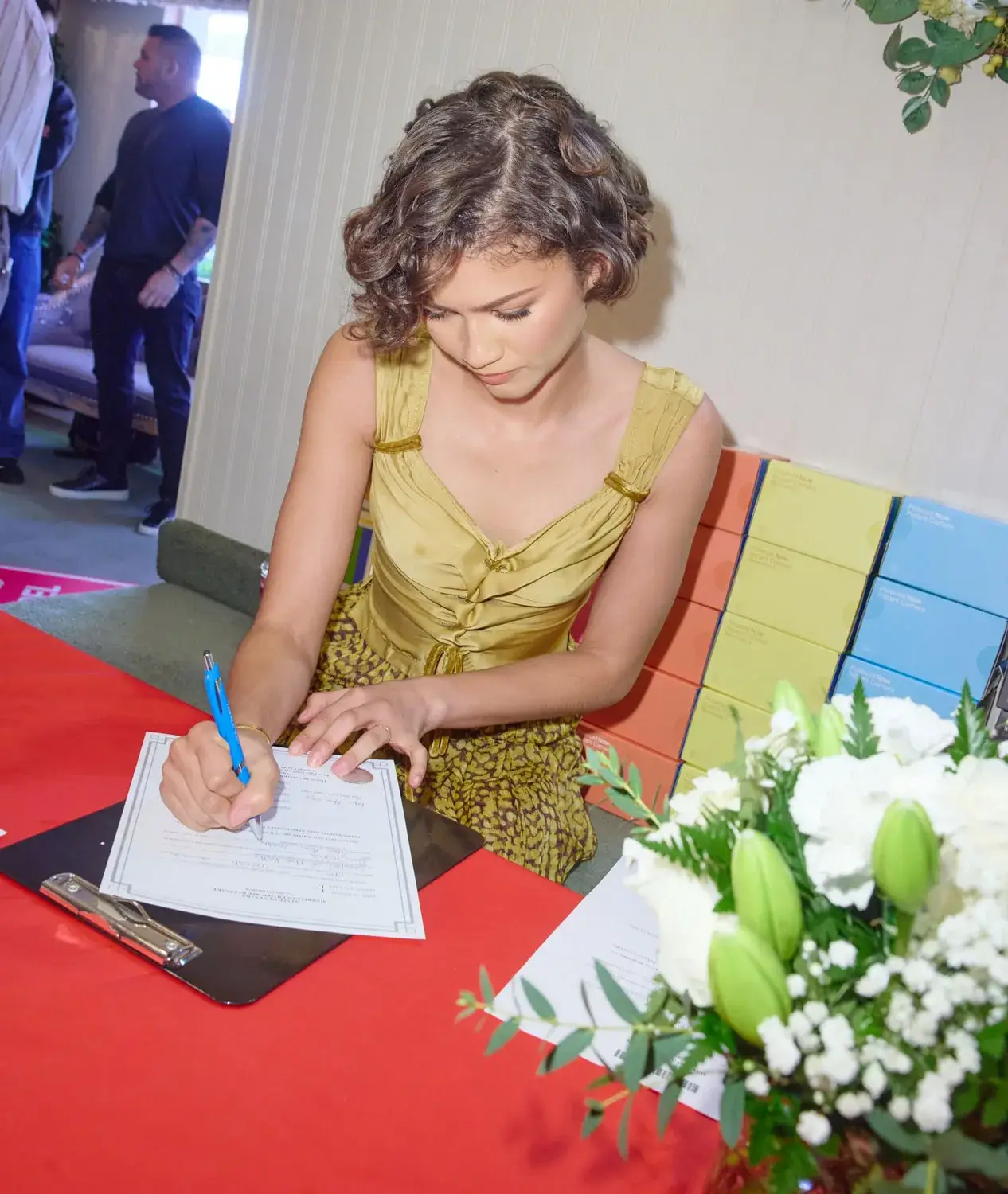 Fans wanted to know what surname Zendaya used on the marriage certificate (Wes Ellis/A24)
