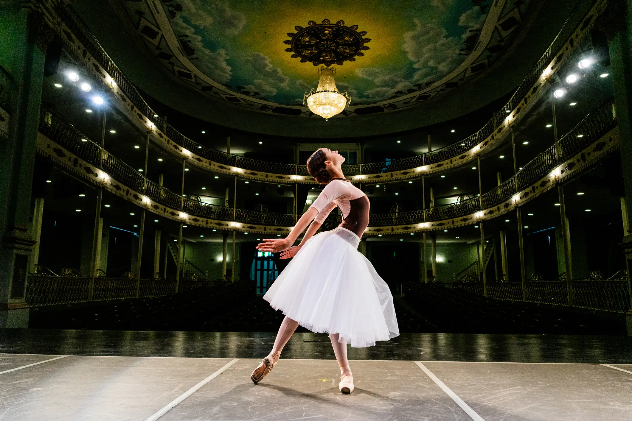 Opera and ballet actually benefited from Chalamet's ill-judged comments (Getty Stock)
