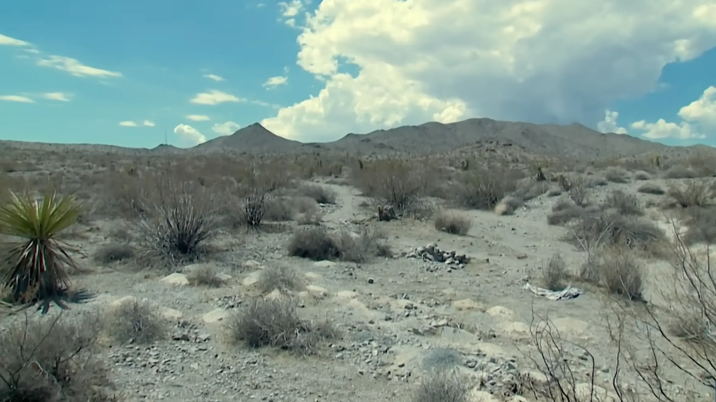 YouTube/ 8 News Now - Las Vegas