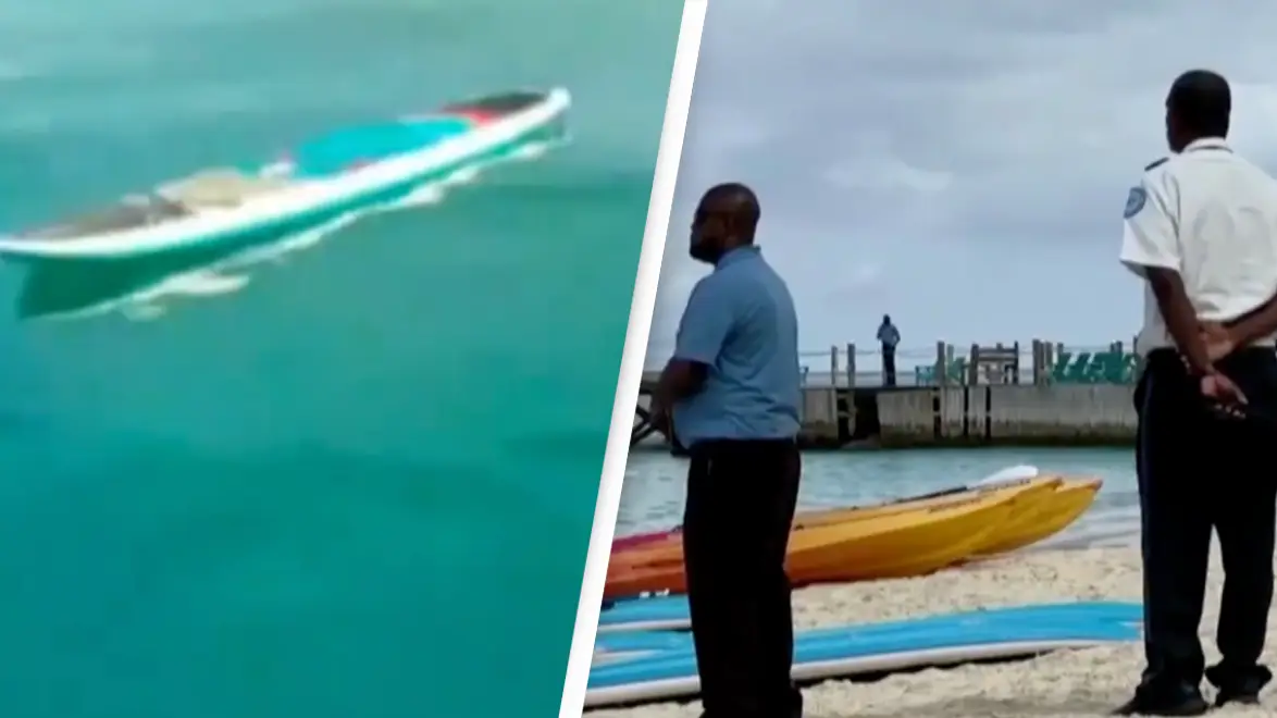 Newlywed killed by shark while paddle boarding one day after wedding