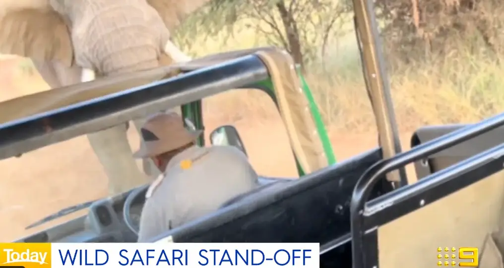 The incident looked terrifying.