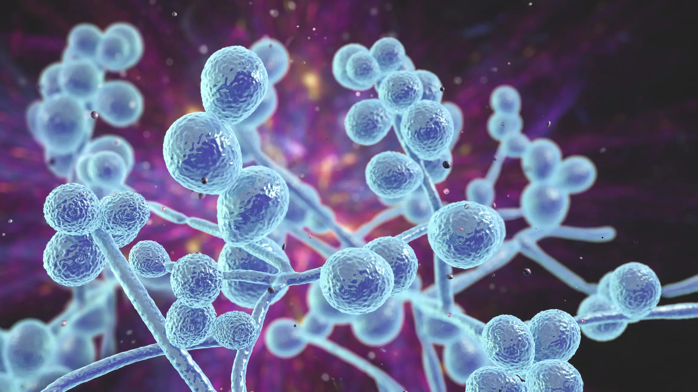People may carry the fungal infection without knowing. (Getty Stock Images) 