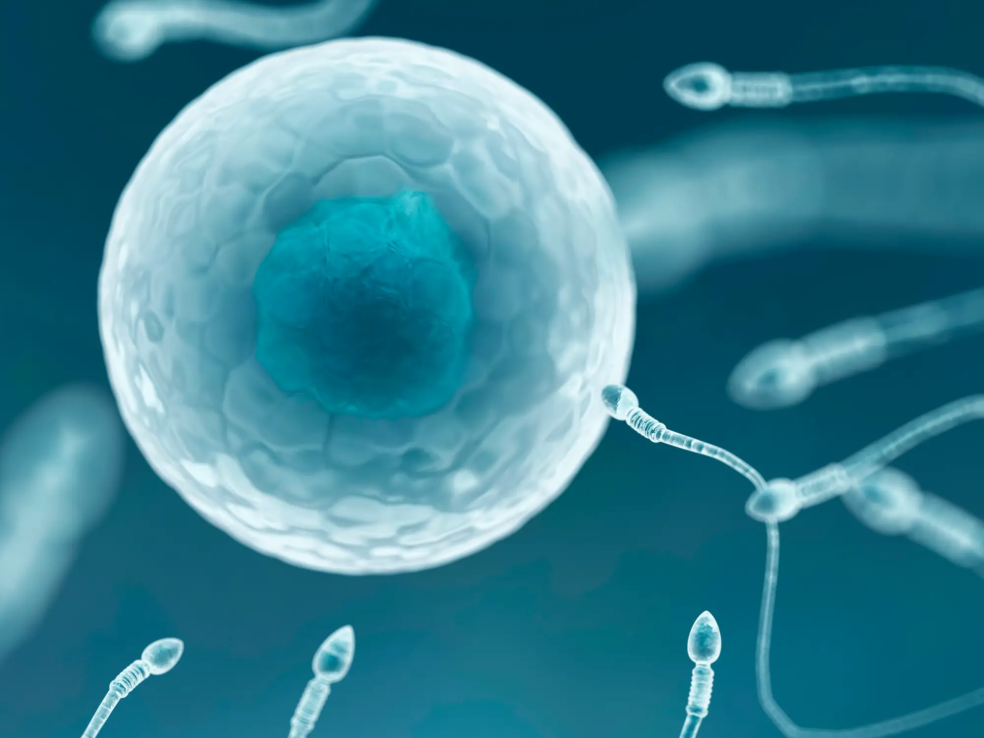The study found that sperm production eventually returned to normal (Getty Stock)