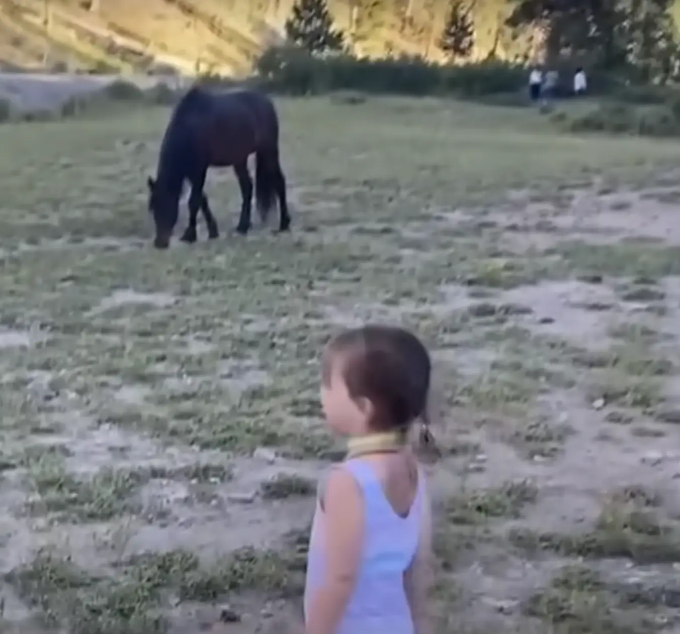 The mother said she only looked away for a moment, recalling how her daughter was attacked by a wild horse. (Fox 5 Las Vegas)