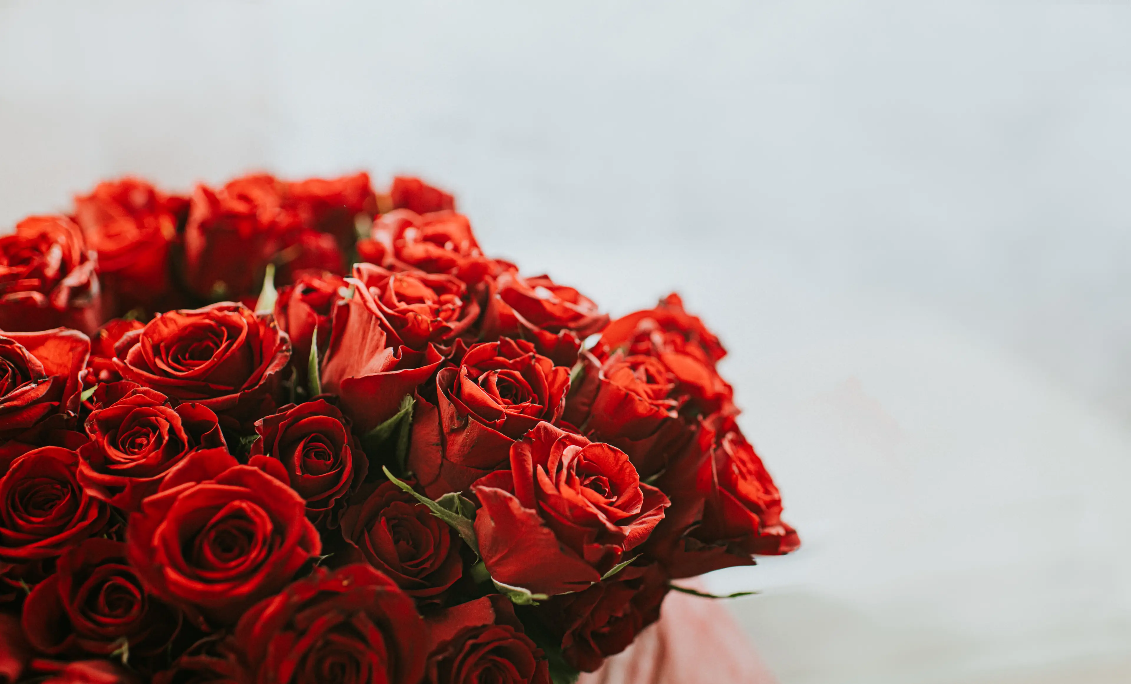 The radio station posed as a floral company offering a free dozen roses (Getty Stock Images/ Catherine Falls Commercial) 