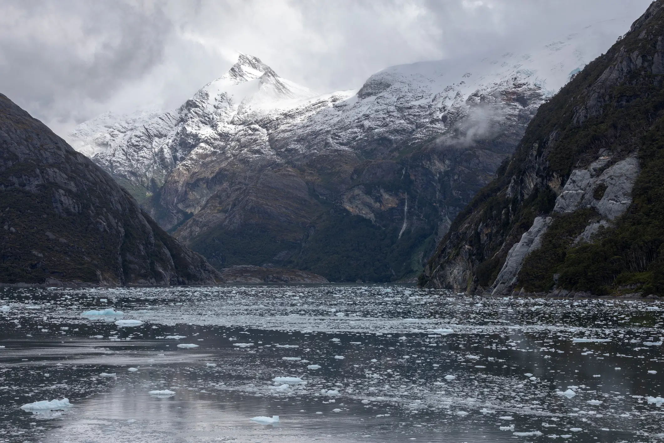 It was discovered in a UNESCO Biosphere reserve (Getty Stock Images)