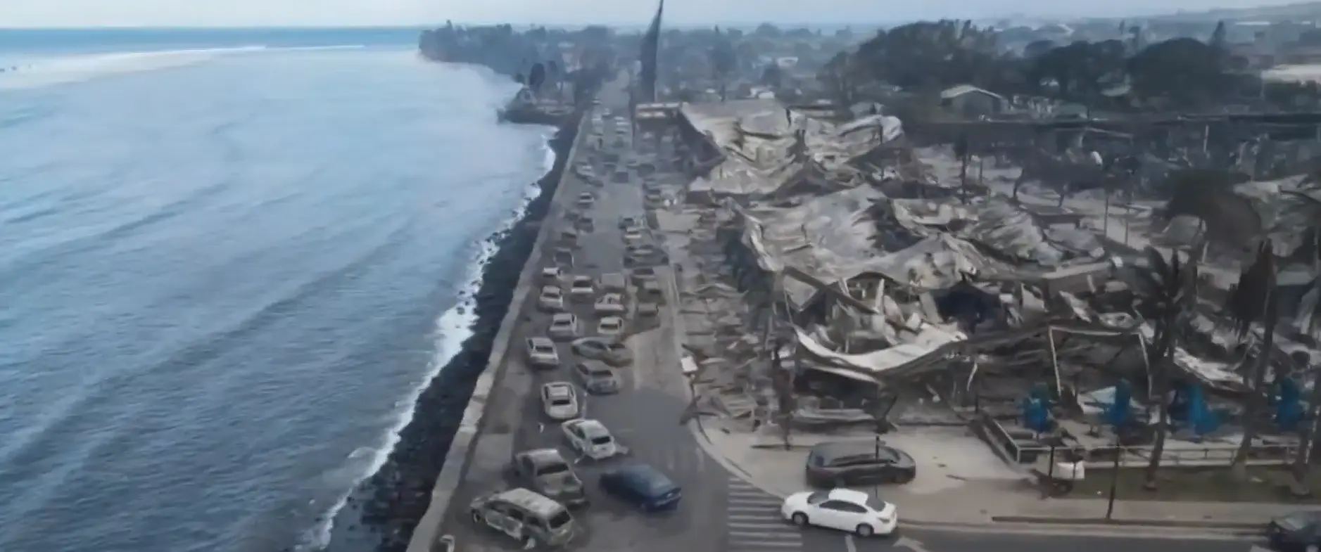 The fires have killed over 100 people so far.