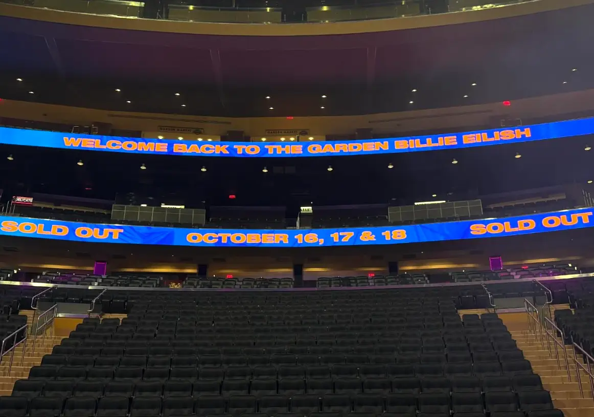 Billie Eilish sang for hundreds of thousands of people in New York (Instagram/@billieeilish)