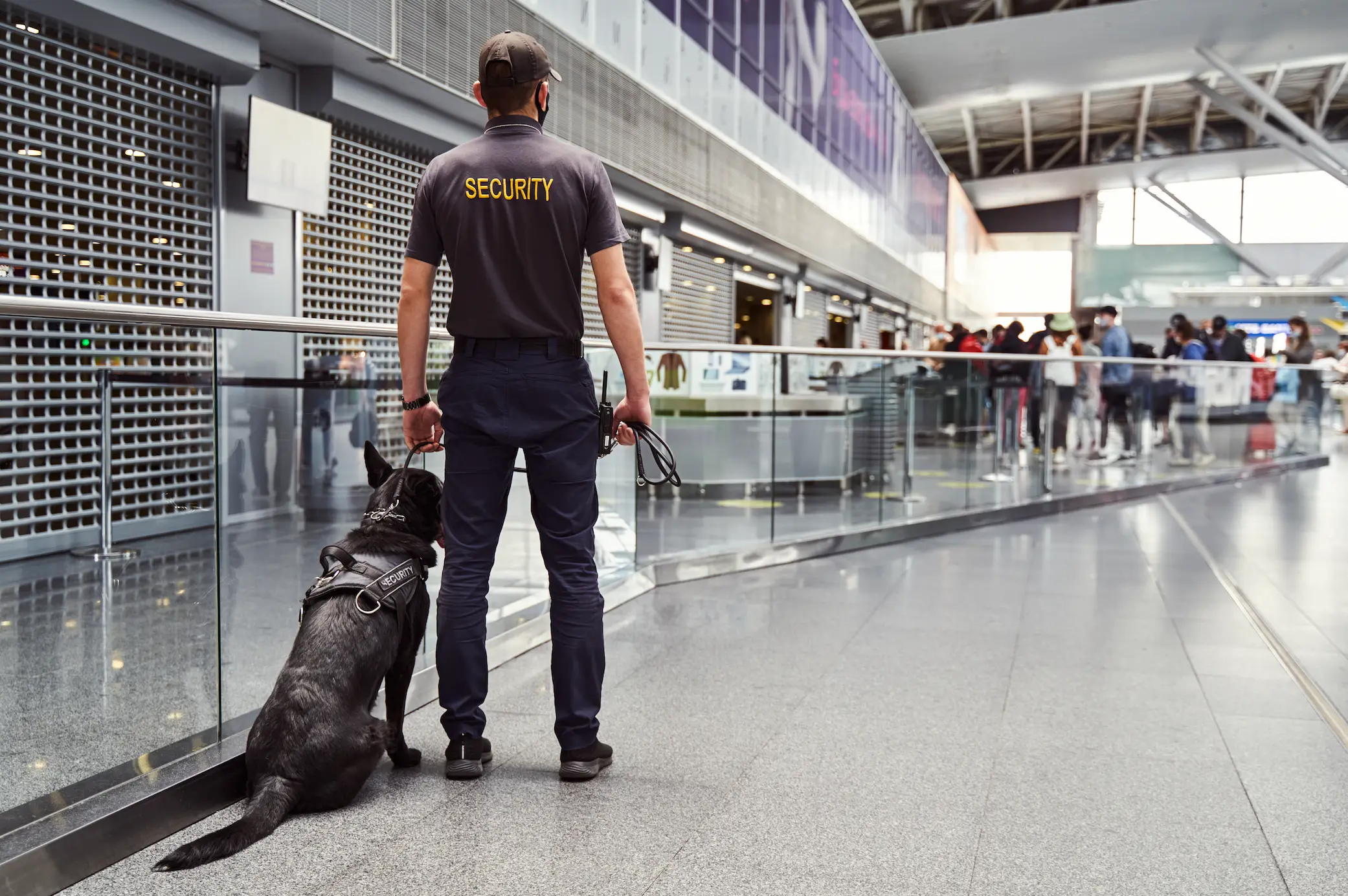 A TikToker found out just how well trained dog patrol dogs are (Getty Stock Image)
