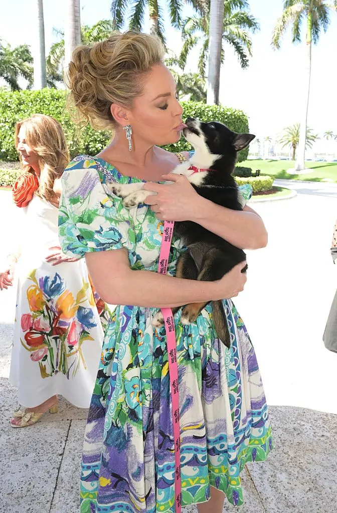 Heigl showed support for the animals (Manny Hernandez/Getty Images)