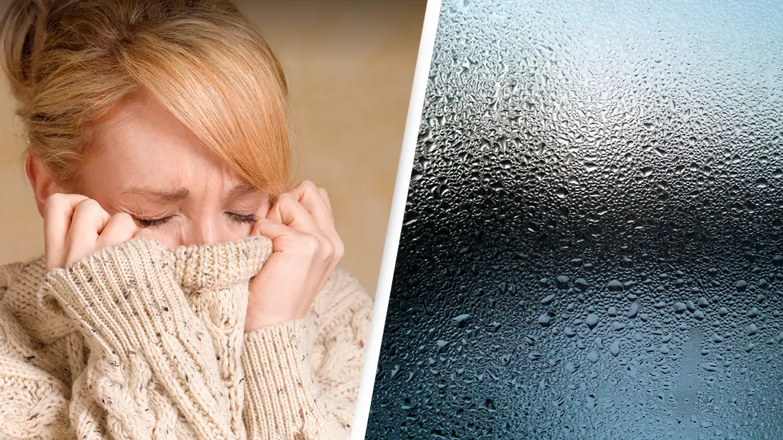 Getty Stock Image/Pexels