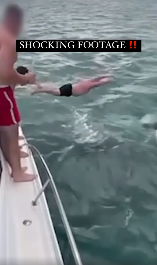 The man appeared to try and dive onto the orca. (Department of Conservation/Facebook)