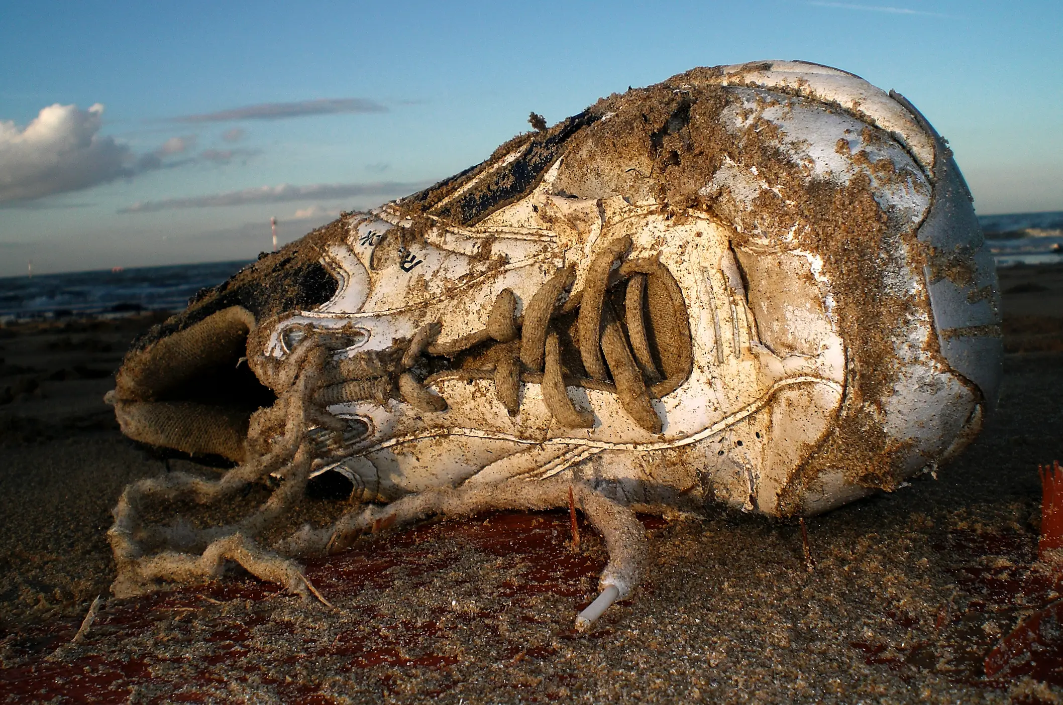 Coroner Barb McLintock had a solution for what was causing the discovery of feet.