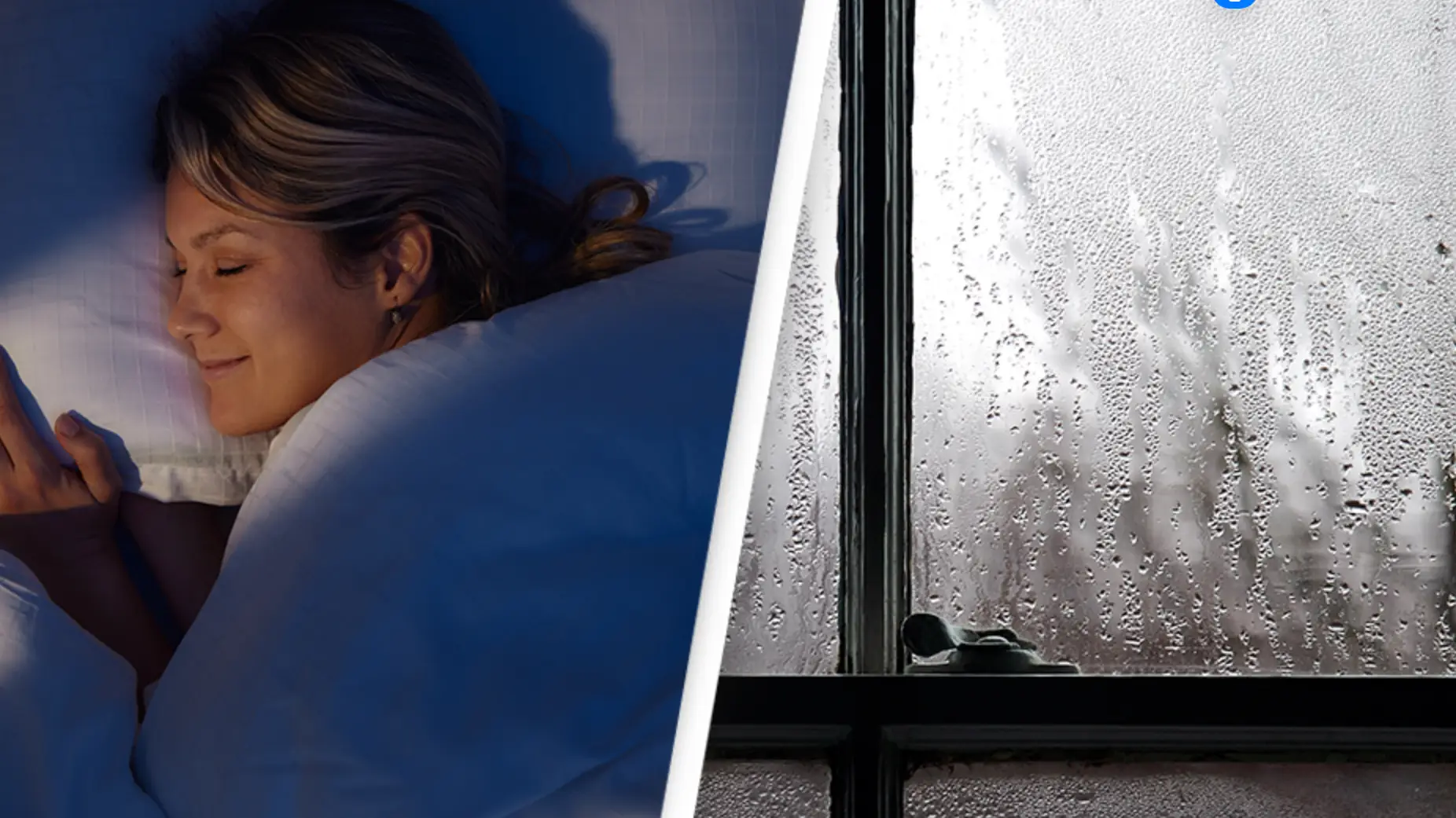 Skynesher/David Potter / Construction Photography/Avalon/Getty Images