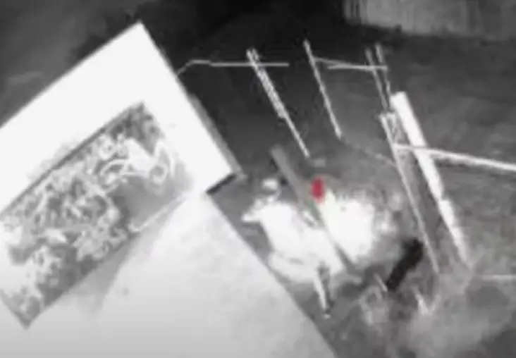 CCTV footage showed people entering the property.