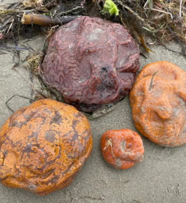 The blobs are certainly peculiar.