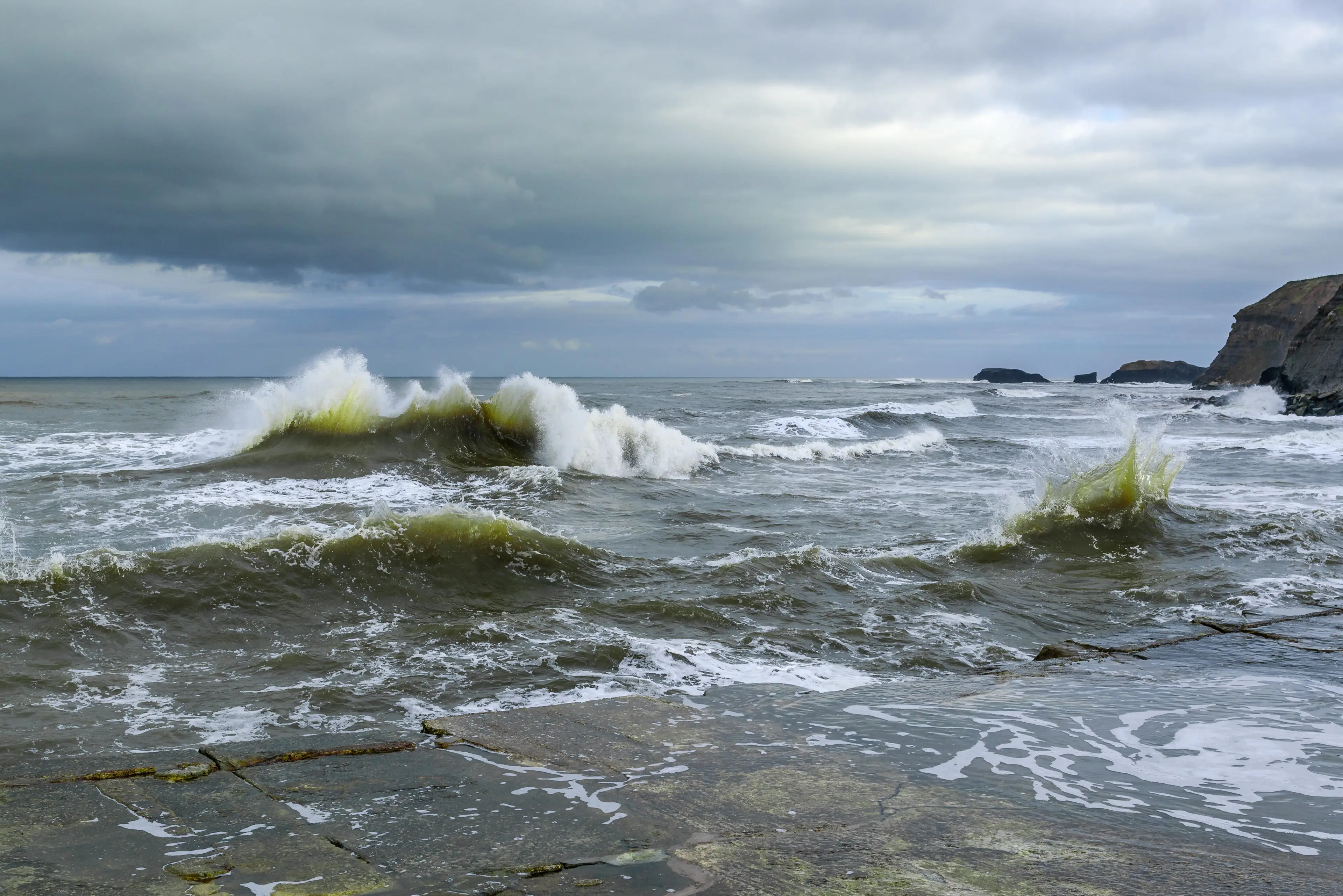 Takahashi is believed to have jumped into turbulent waters on 4 July.