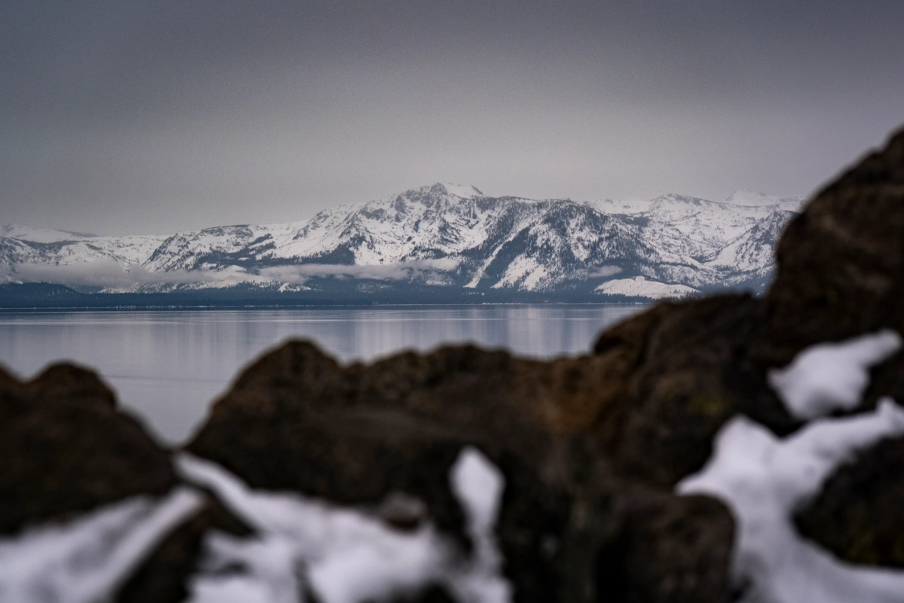 Families released a statement paying tribute to their loved ones (Al Drago/Getty Images)