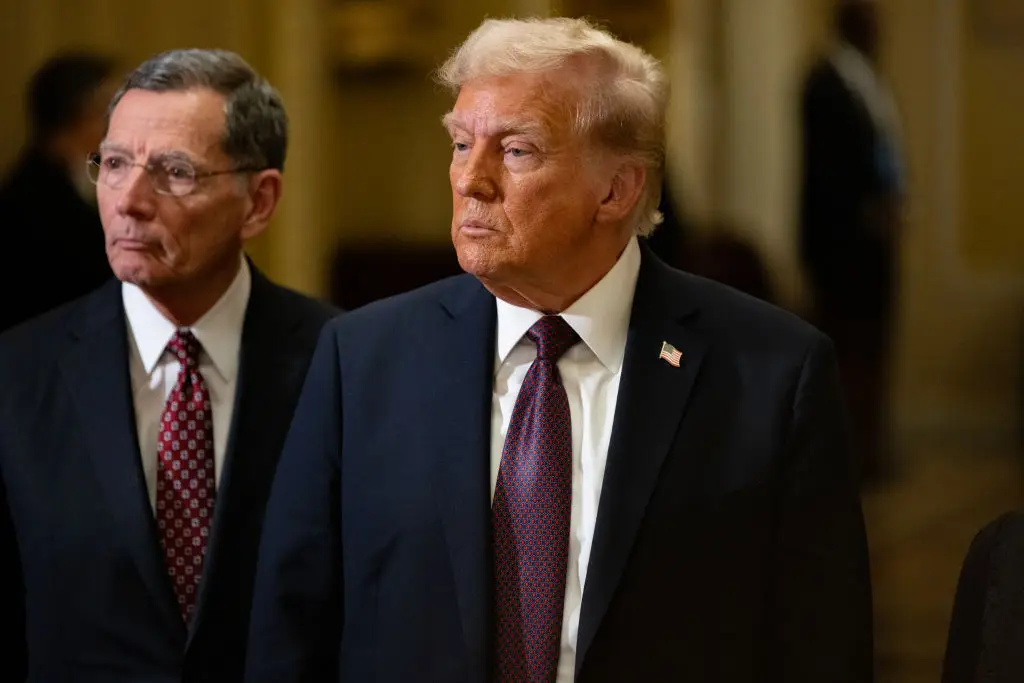 Many hope that Donald Trump will be able to save TikTok (Nathan Posner/Anadolu via Getty Images)