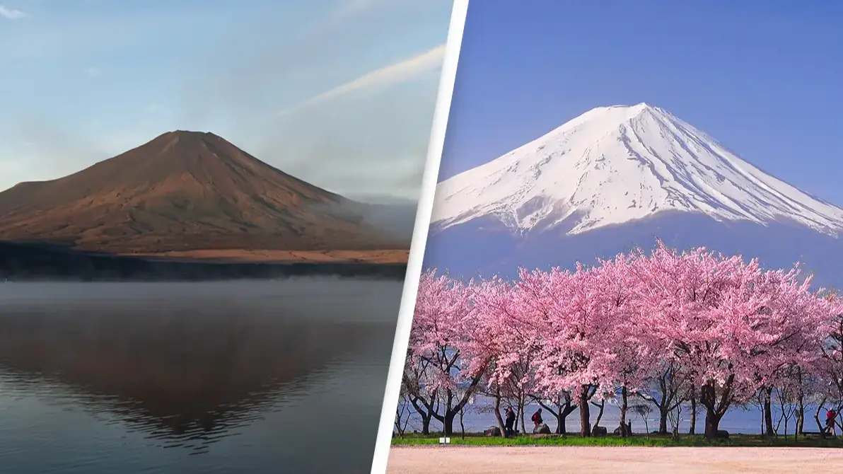 Getty/Tomohiro Ohsumi/Getty/Peerapat Tandavanitj