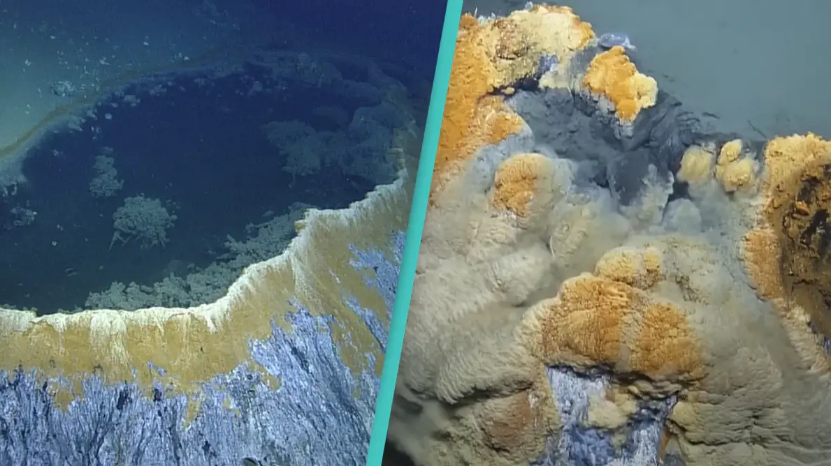 Underwater deadly ‘hot tub of despair' kills almost everything that enters it