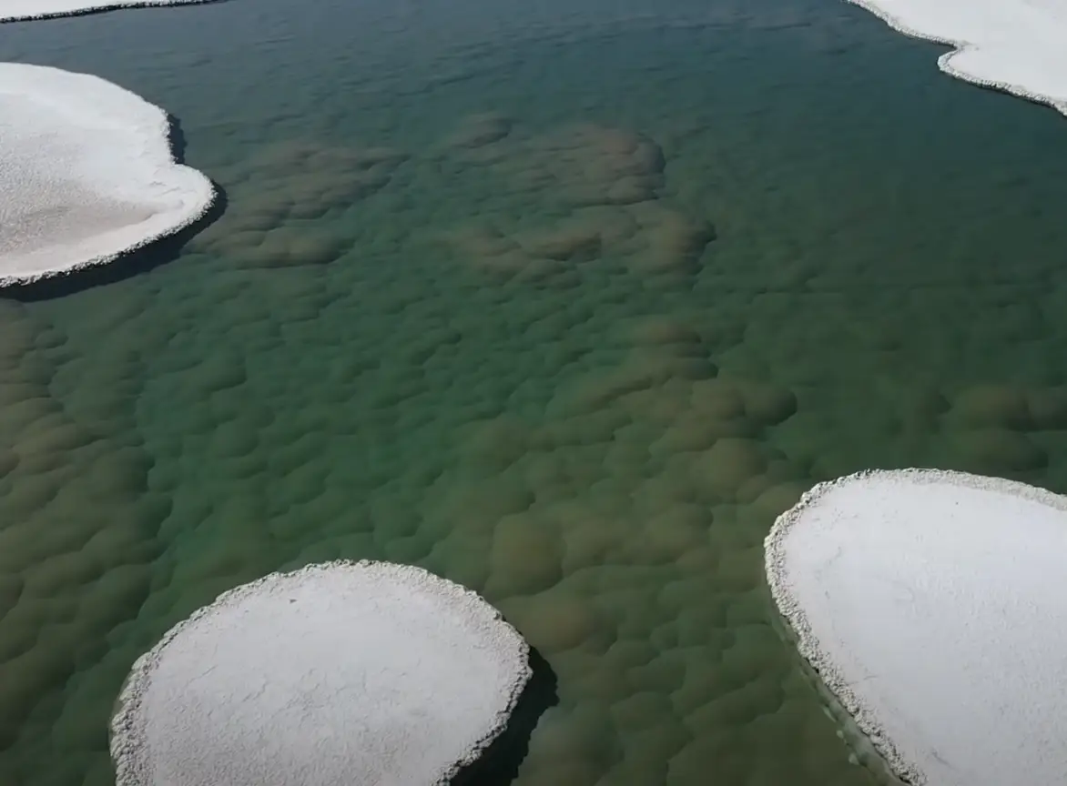 The lagoons could inform scientists about early life on Earth and Mars.