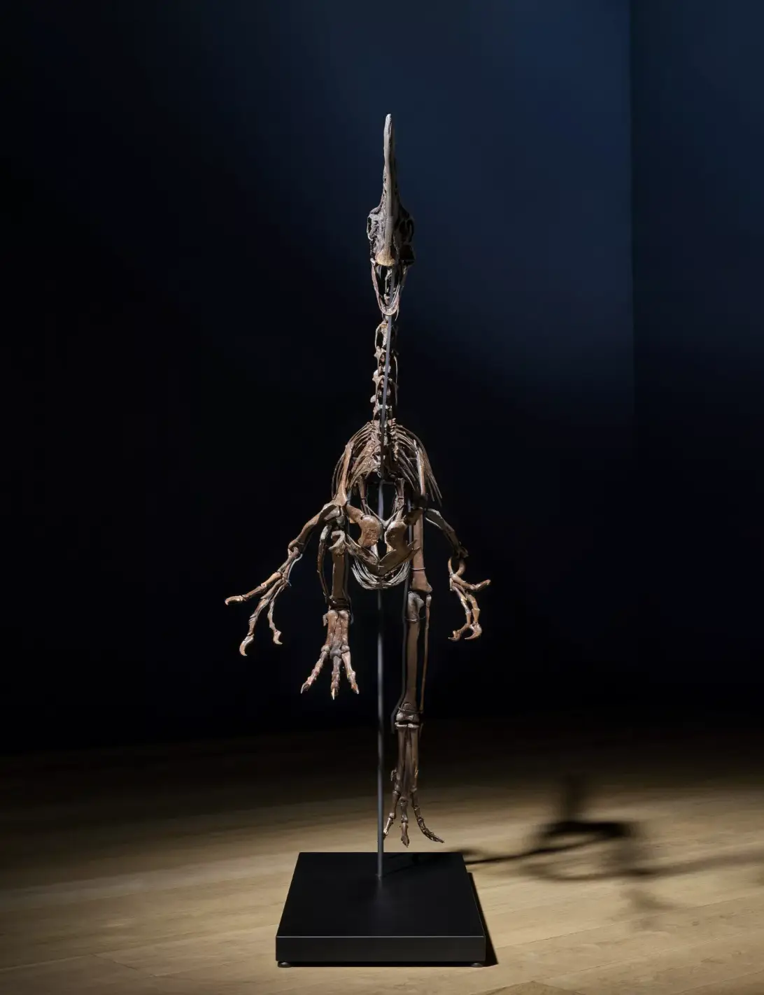 Spike could sell for over $6,500,000 (Christie's)