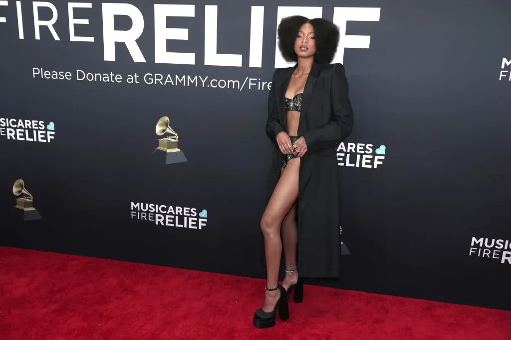 Willow Smith has been nominated for two awards (Jeff Kravitz/FilmMagic)