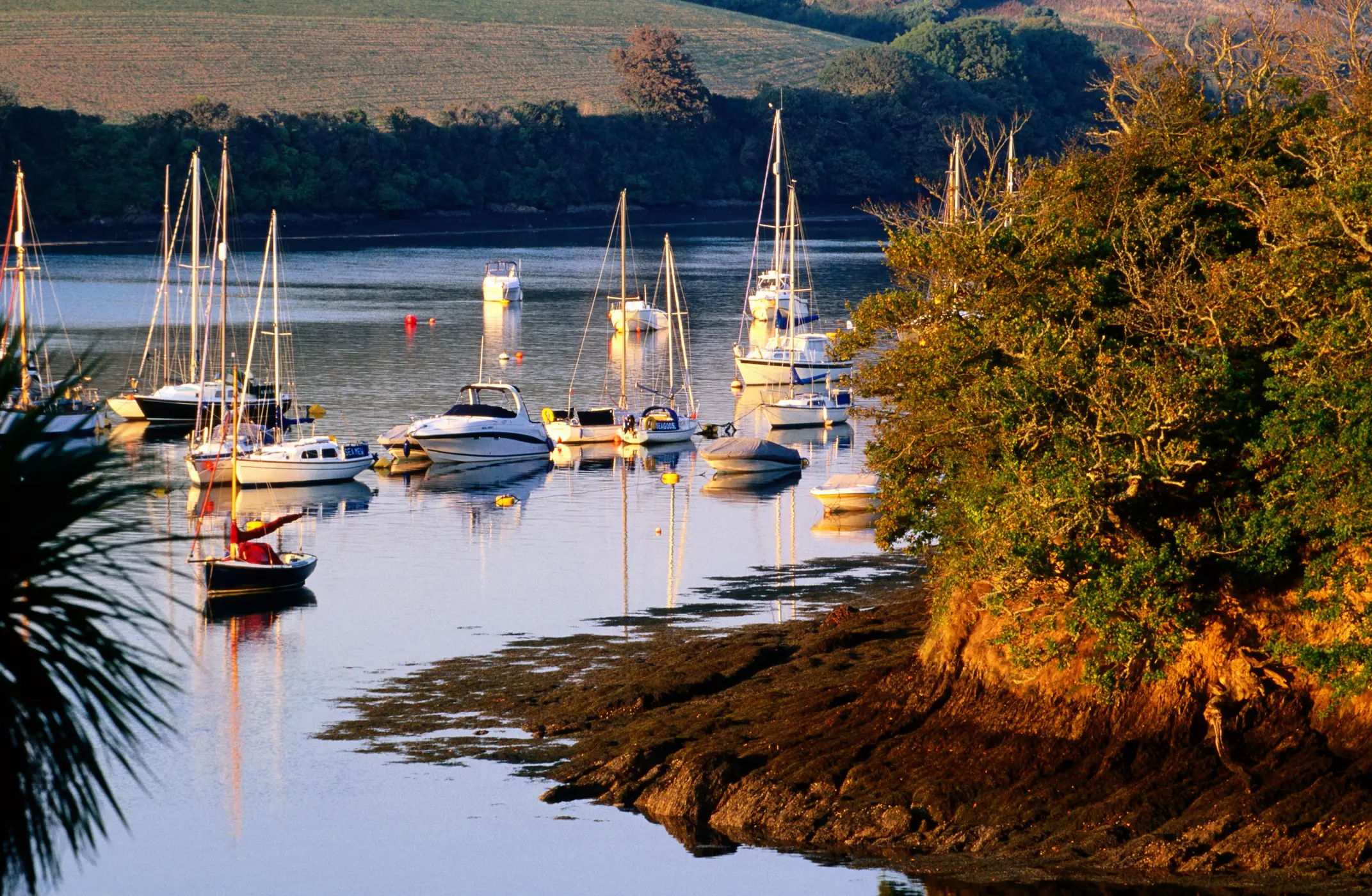 Vibrio vulnificus is found in salt water or brackish water (Getty Stock Photo)